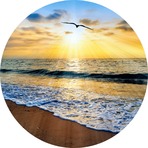bird flying over waves, circle photo